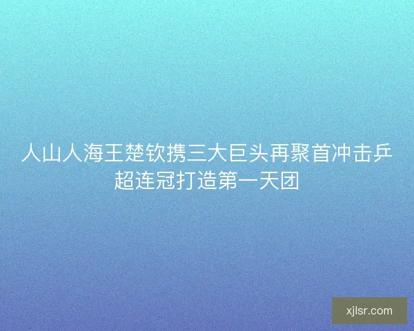 人山人海王楚钦携三大巨头再聚首冲击乒超连冠打造第一天团
