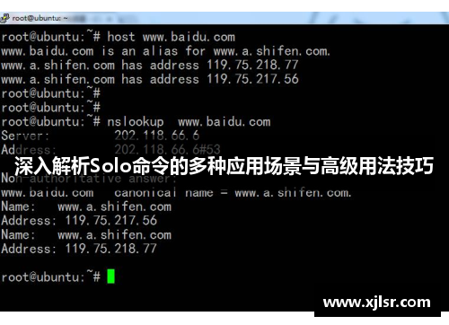 深入解析Solo命令的多种应用场景与高级用法技巧