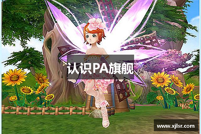 认识PA旗舰